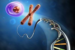 Unternehmensberatung