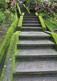 Unternehmensberatung